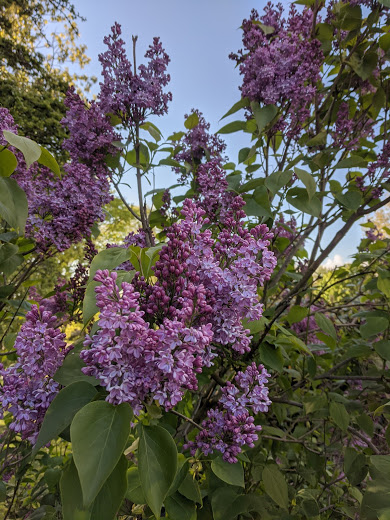 IMG 20210507 182931