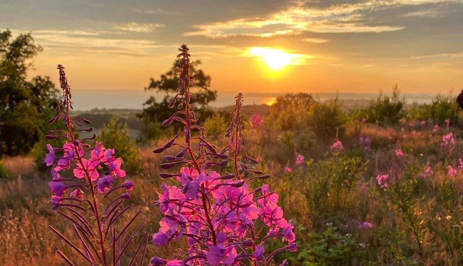 Helgenæs Himmel1 (1)