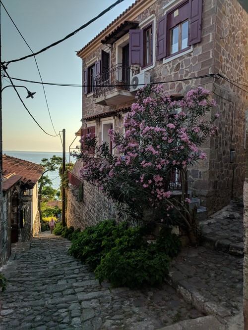 Gade Molivos