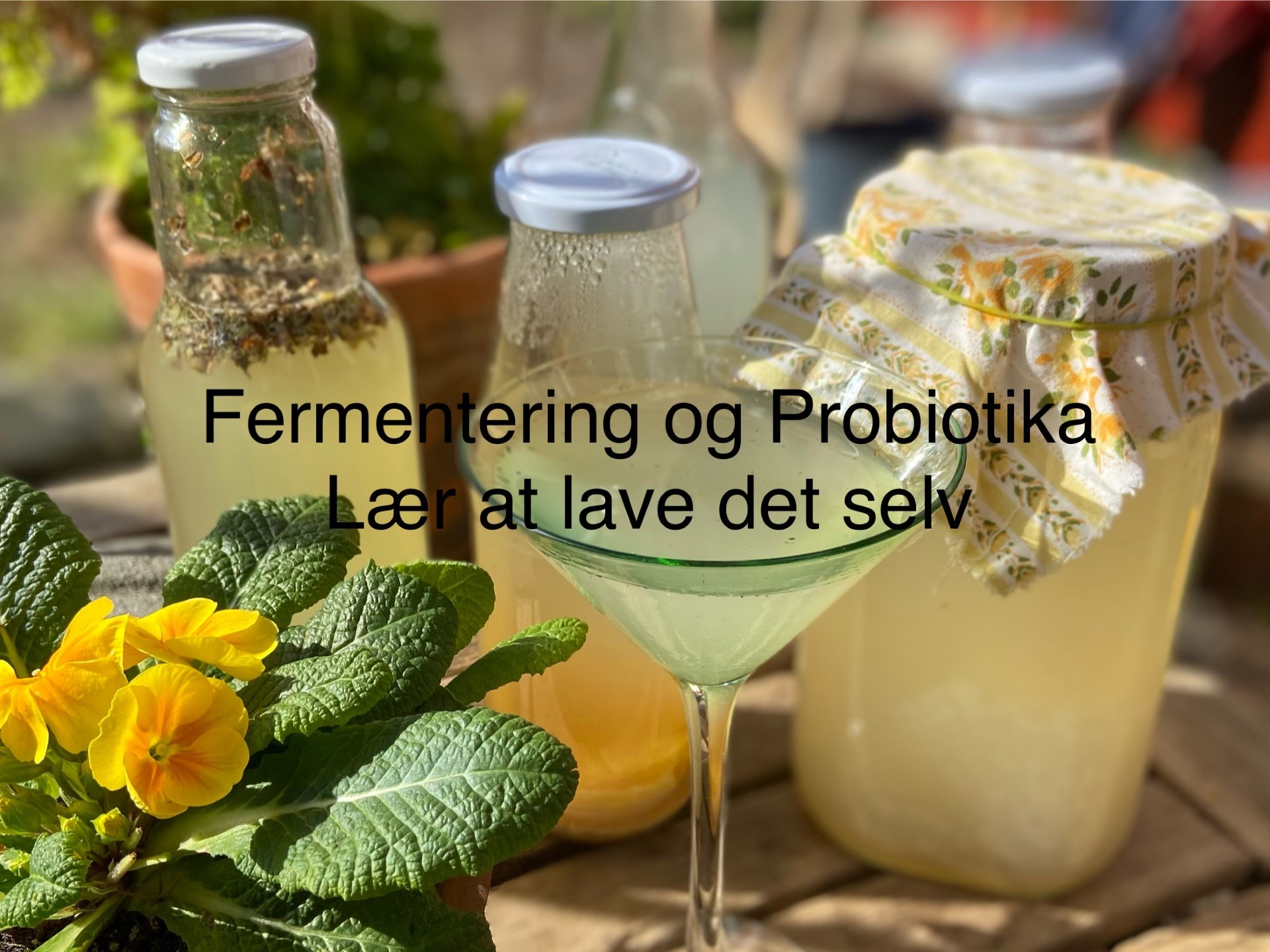 Kirsten Fermentering