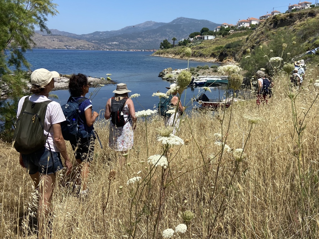Yogaferie Med Vandring
