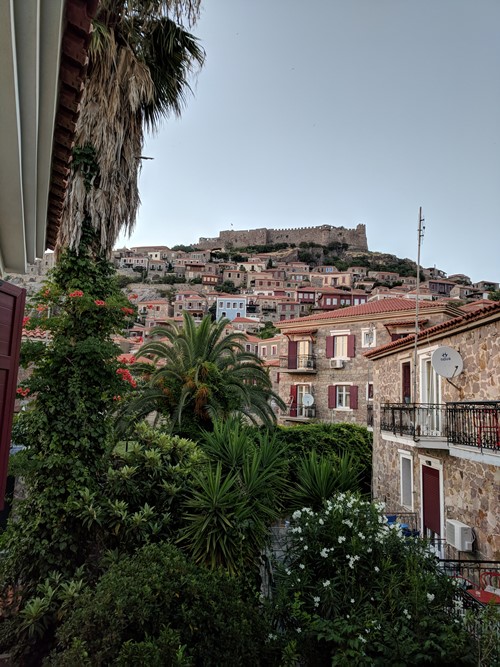 Nassos Molivos